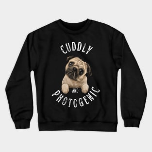 Cuddly and Photogenic Crewneck Sweatshirt